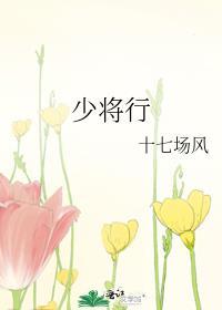少将行17场风全文免费阅读
